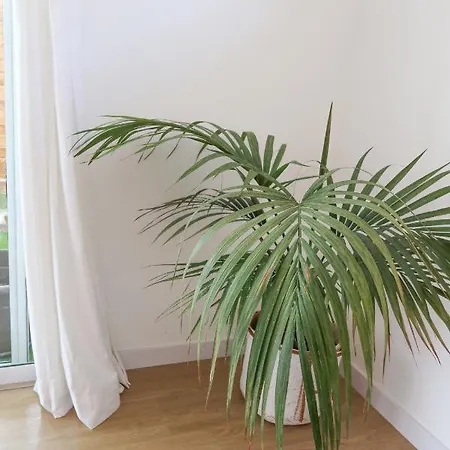 Casitas Tenerife - Papacho Loft 아데제